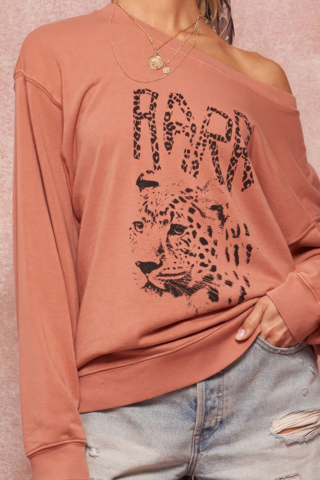 Rose Garment Dyed French Terry Graphic Sweatshirt